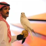 Super White Pure Gyr Falcon Sells for SR1.2 Million at Saudi Arabia’s International Falcon Breeders Auction