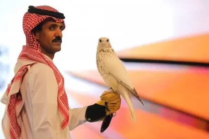 Super White Pure Gyr Falcon Sells for SR1.2 Million at Saudi Arabia’s International Falcon Breeders Auction