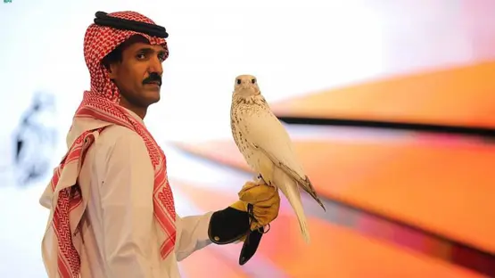 Super White Pure Gyr Falcon Sells for SR1.2 Million at Saudi Arabia’s International Falcon Breeders Auction